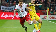 Pasaulio futbolo čempionato atrankos rungtynės: Lenkija &ndash; Lietuva. Artūras Dolžnikovas