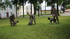 Pasieniečių tarnybinių &scaron;unų būryje &ndash; du jauni vokiečių aviganiai Luna ir Lordas bei olandų aviganiai Hana ir Herkus