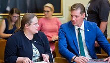 Agnė &Scaron;irinskienė ir Kęstutis Mažeika
