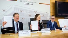 Gabrielius Landsbergis, Viktorija Čmilytė-Nielsen, Julius Sabatauskas