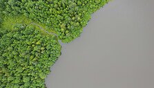 Vie&scaron;vilės upelio auk&scaron;tupys - i&scaron;takos