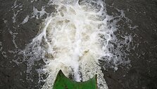 Aplinkosaugininkų i&scaron;vyka į &bdquo;Grigeo&ldquo; Grigi&scaron;kėse