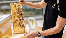 Urbanbee.lt įkūrėjas Paulius Chockevičius