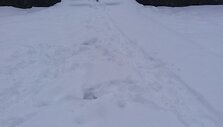 Nuo sniego nei&scaron;valyti kiemai ir laiptai Lazdynuose