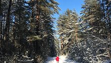 &bdquo;TrenkTuro&ldquo; rengiamas &bdquo;Žiemos žygis'19&ldquo;