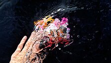 Isabella Hin, &bdquo;Memory laps&ldquo;. Pristato galerija &bdquo;Bubenberg&ldquo;