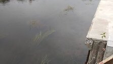 Meteorologai matavo vandens lygį Neryje ties Vilniumi
