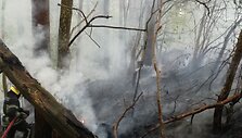 Mi&scaron;kininkas Raimundas Ereminas užfiksavo mi&scaron;ko gaisrą 