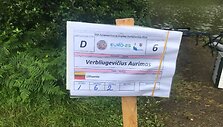 Lietuvos komanda Europos plūdinės žūklės čempionate