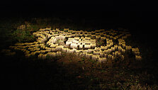 &bdquo;Ketvirtainis&ldquo;, 2014 m.