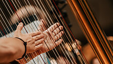 Lietuvos valstybinis simfoninis orkestras (LVSO)