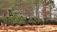 Pratybų &bdquo;Geležinis Vilkas 2019-II&ldquo; baigiamosios operacijos akimirkos