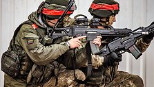 Pratybų &bdquo;Geležinis Vilkas 2019-II&ldquo; baigiamosios operacijos akimirkos