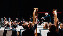 LVSO