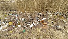 Pagiriuose &ndash; &scaron;iuk&scaron;lynas buvusiame garažų masyve 