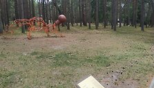 Palangos pasakų parkas