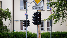 Žveryne dingo elektra