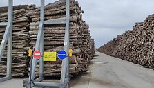  Medienos drožlių plok&scaron;čių gamyklos atidarymas Akmenės laisvojoje ekonominėje zonoje