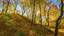 Aukų kalnas