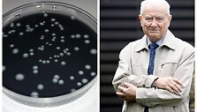 Laboratorija, kur tiriamos legionelės ir prof. Alvydas Lai&scaron;konis