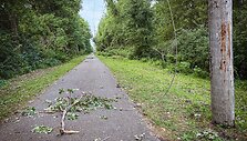 Nutrūkę elektros laidai