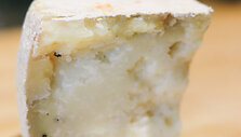 Pecorino sūris