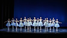 10 metų su baletu &ndash; &scaron;ventė auk&scaron;tajam menui ir ypatingos vie&scaron;nios pasirodymas