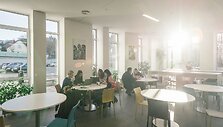 Sociologija &ndash; tai, ko jūsų nemokė mokykloje