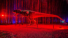 &Scaron;vytintis dinozaurų parkas pakvietė į neregėtą žiemos nuotykį pajūryje