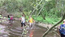 5b75625627c46video_5b75623b70b6d