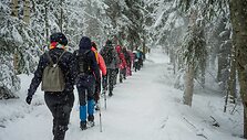 Kelionė į Suomijos Repovesi nacionalinį parką ir trijų dienų pėsčiųjų žygis