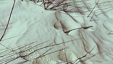 5e909c5adf957video_5e909be3c64f4
