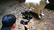 Faustos &Scaron;ukytės vaizdo klipo filmavimo užkulisiai 