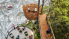 NBBJ nuotr./&bdquo;Amazon&rdquo; biuras &bdquo;Spheres&rdquo; Sietle 