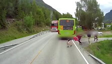zingsnis-nuo-tragedijos-mazametis-norvegijoje-vos-isvenge-mirties