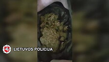 5cfa092cbf53evideo_5cfa09294360b