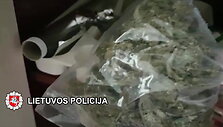 klaipedoje-pareigunai-ir-sia-vasara-aktyviai-stabdo-narkotiku-plitima-kurortuose