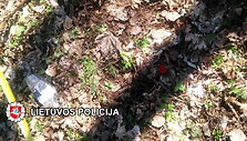60092c4817890video_60092c43c59a4
