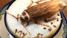 kava