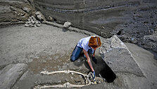 Italy_Pompeii_Skeleton_17160.jpg-7e541