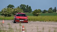 Liveta Čekanauskaitė
