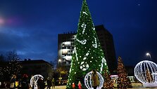 Panevėžio Kalėdų eglė