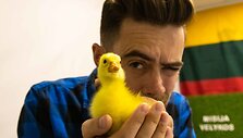 ZIP FM studijoje i&scaron;sirito žąsiukai