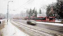 Narbuto gatvėje vėl strigo troleibusų eismas 
