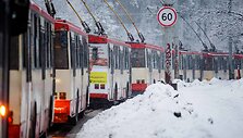 Narbuto gatvėje vėl strigo troleibusų eismas 