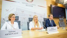 Au&scaron;rinės Armonaitės spaudos konferencija &bdquo;Laisvės partijos dalyvavimas 2019 m. Seimo rinkimuose&ldquo;