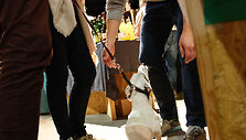 &bdquo;Uptown Spring Market&ldquo; akimirka