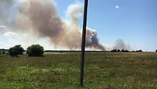 Kauno rajone degė 200 hektarų javų laukas