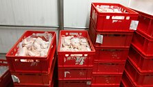 Kauno įmonei &bdquo;Dargita Tau&ldquo; uždrausta prekiauti nesaugia lenki&scaron;ka pauk&scaron;tiena