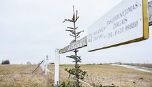 Nupuo&scaron;tos žaliaskarės &ndash; geriau žirgams negu į atliekas